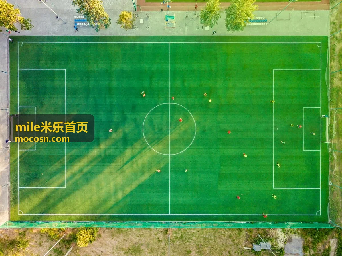 mile米乐首页电影片库剧情长片封面